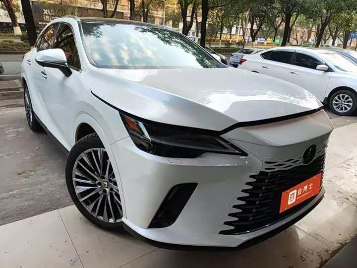 Фото 2 - Lexus RX Hybrid