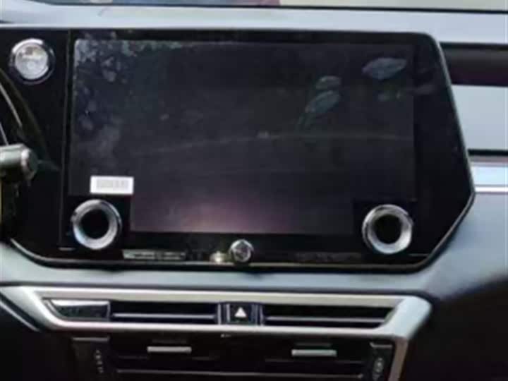 Фото 8 - Lexus RX Hybrid