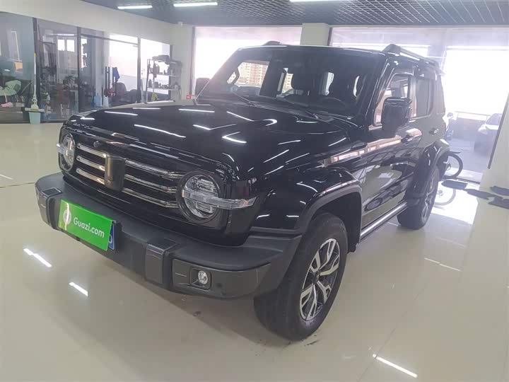 Фото 2 - Tank 300