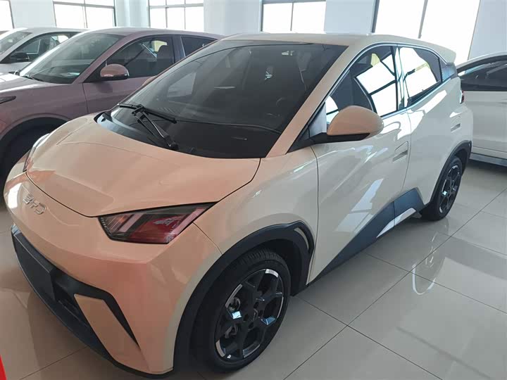 Фото 1 - BYD Seagull