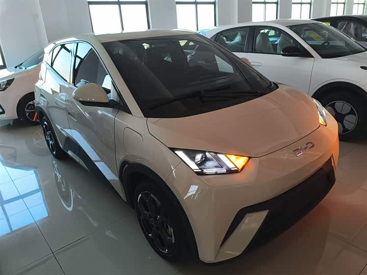 Фото 4 - BYD Seagull