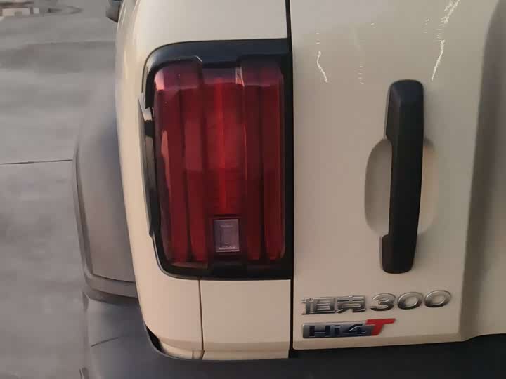 Фото 6 - Tank 300 Hybrid