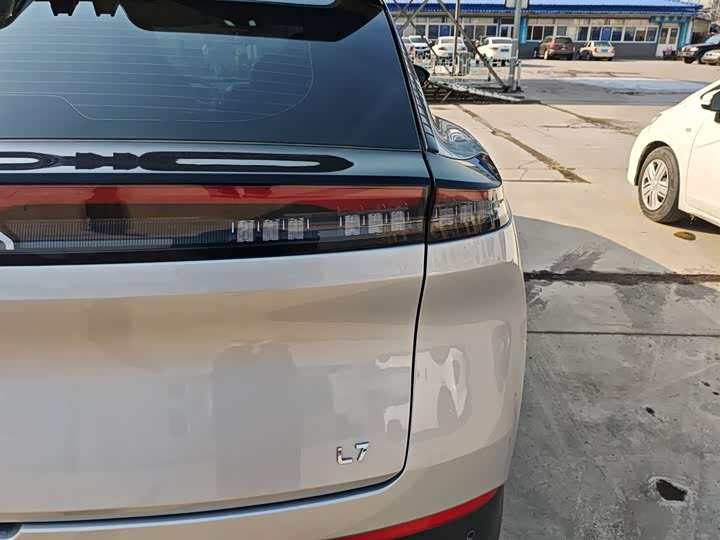 Фото 8 - Dongfeng Aeolus L7