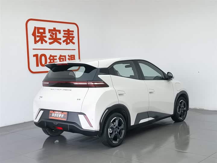 Фото 2 - BYD Seagull