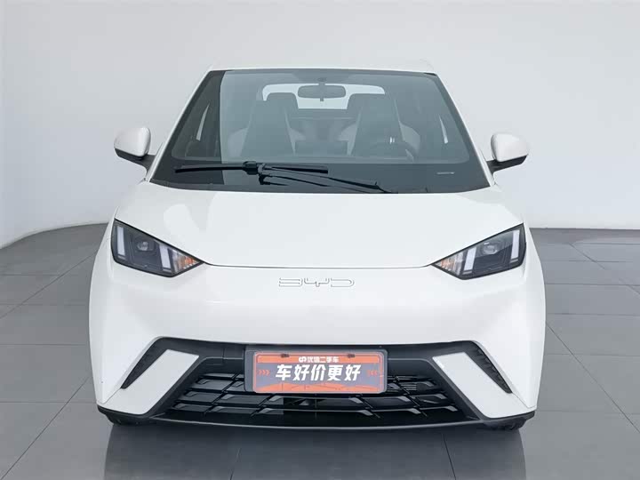 Фото 3 - BYD Seagull