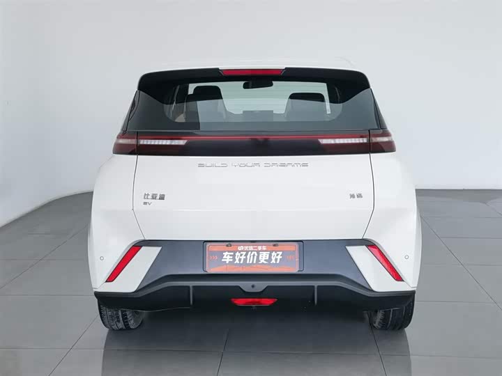 Фото 4 - BYD Seagull