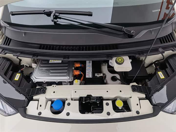 Фото 6 - BYD Seagull