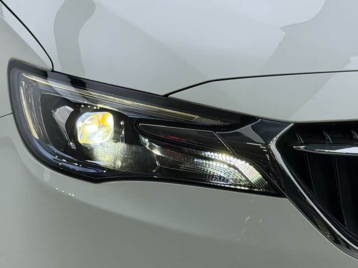 Фото 7 - Buick GL6