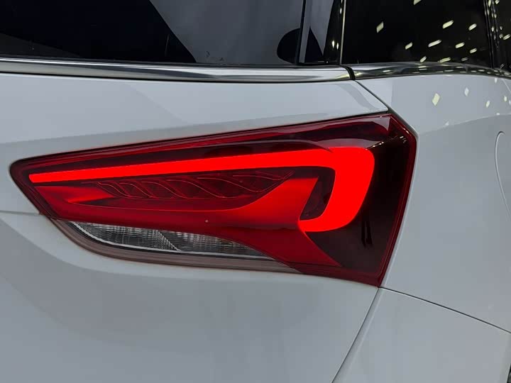 Фото 8 - Buick GL6