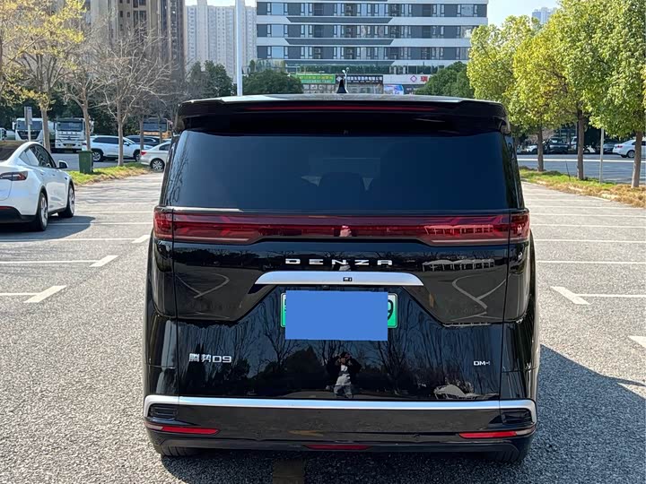 Фото 6 - Denza D9