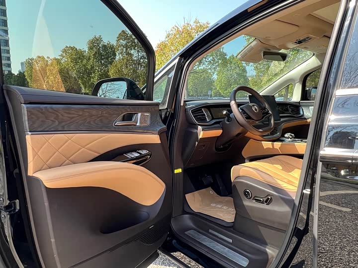 Фото 8 - Denza D9