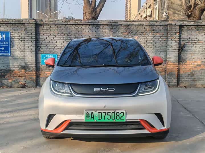 Фото 1 - BYD Dolphin