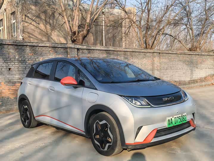 Фото 2 - BYD Dolphin