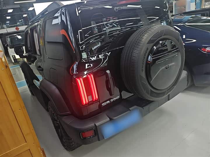 Фото 5 - Tank 300