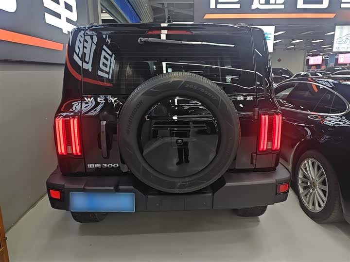 Фото 6 - Tank 300