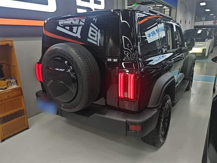 Фото 7 - Tank 300