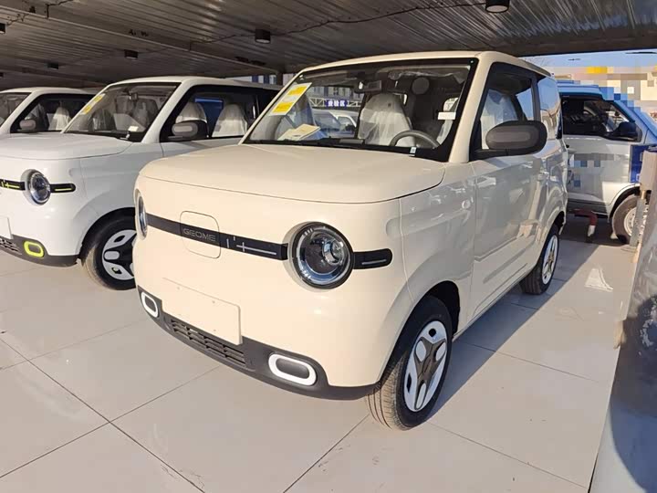 Фото 1 - Geely Galaxy Panda Mini