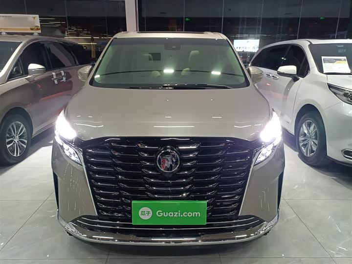 Фото 3 - Buick GL8 ES