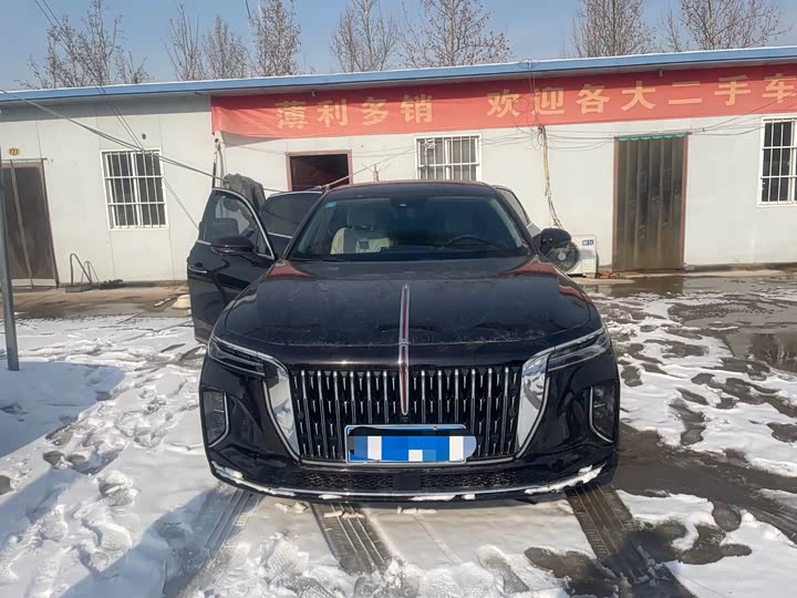 Фото 2 - Hongqi H9