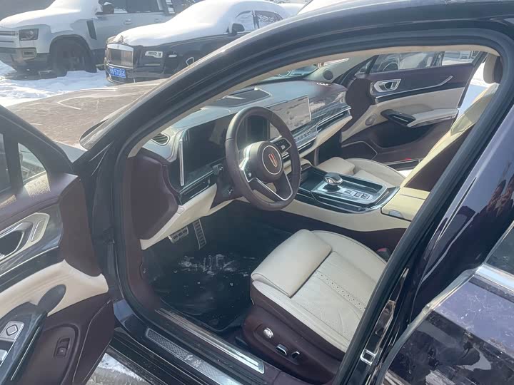 Фото 4 - Hongqi H9