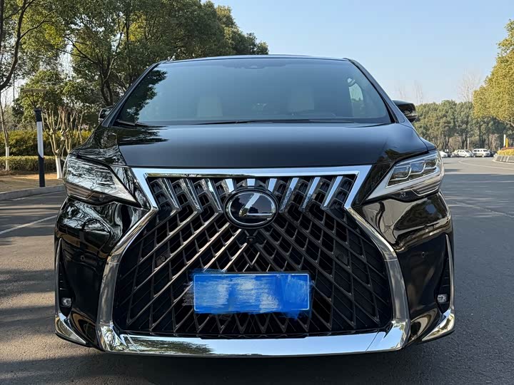 Фото 1 - Lexus LM