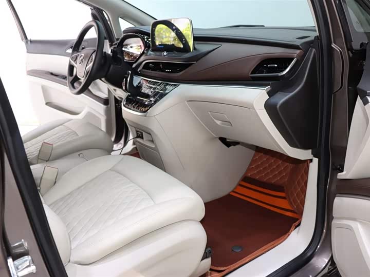 Фото 8 - Buick GL8 ES