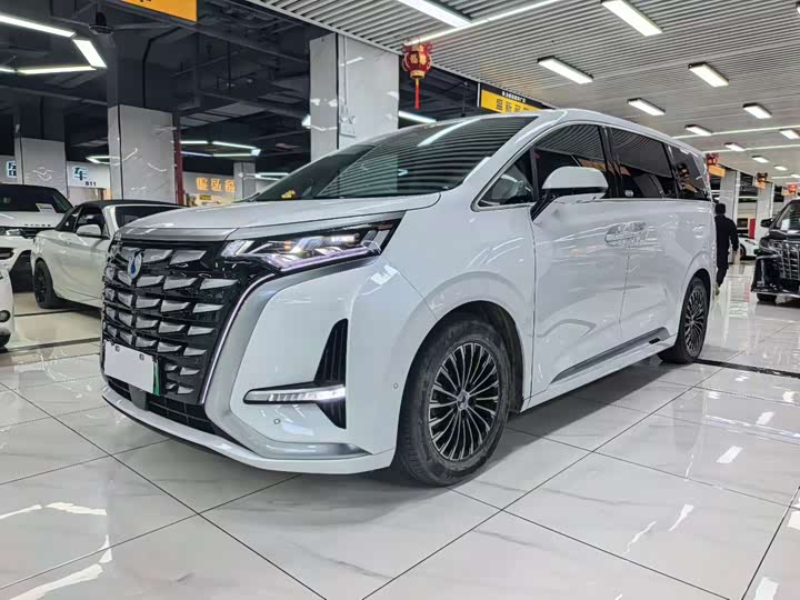 Фото 1 - Denza D9