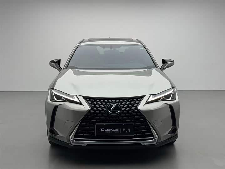 Фото 2 - Lexus UX