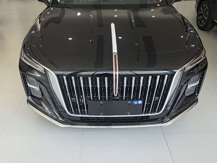 Фото 2 - Hongqi H5