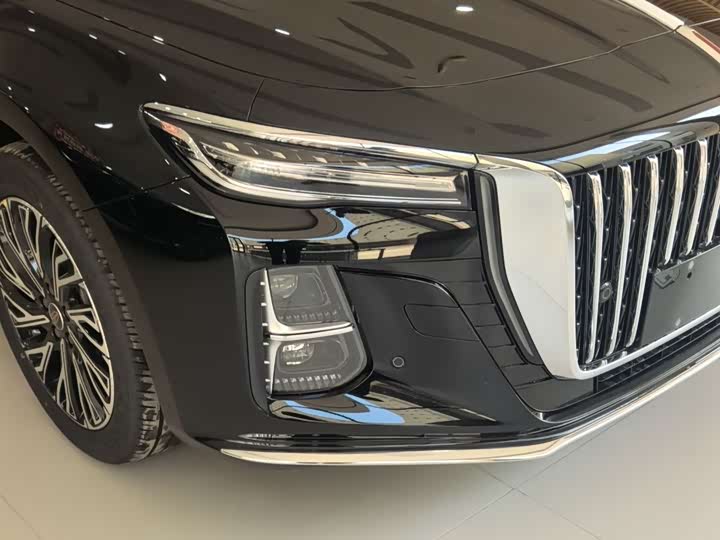 Фото 7 - Hongqi H5