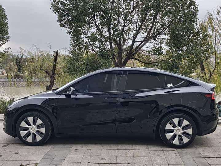 Фото 2 - Tesla Model Y