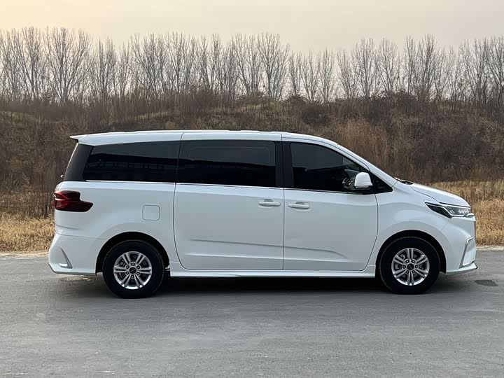 Фото 5 - Maxus G20