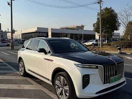 Фото 1 - Hongqi E-HS9