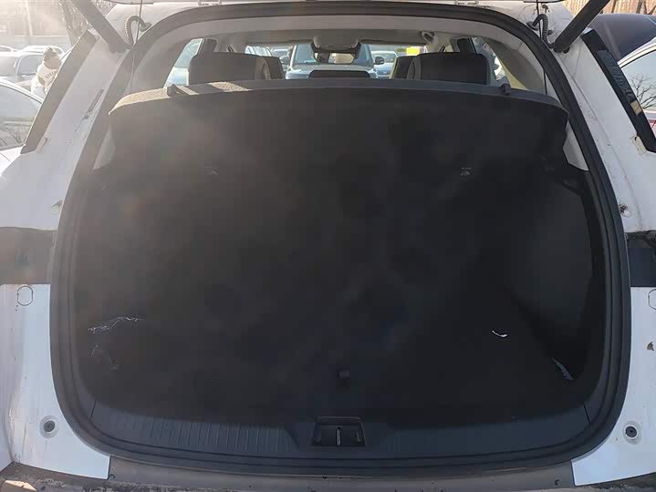 Фото 4 - BYD Sea Lion 05 DM-i Hybrid