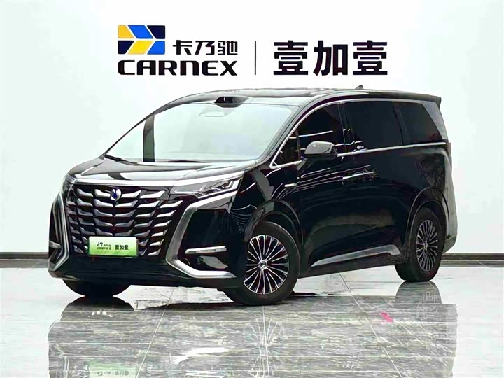 Фото 1 - Denza D9