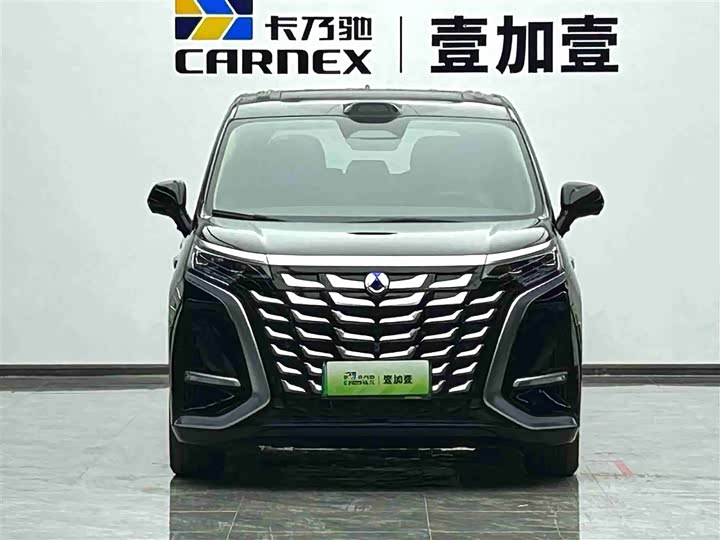 Фото 2 - Denza D9