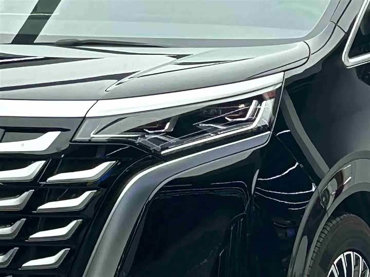 Фото 3 - Denza D9