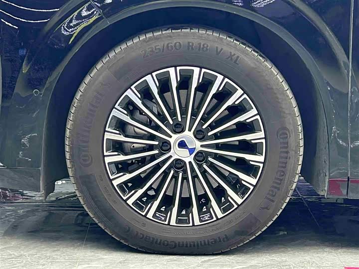 Фото 4 - Denza D9