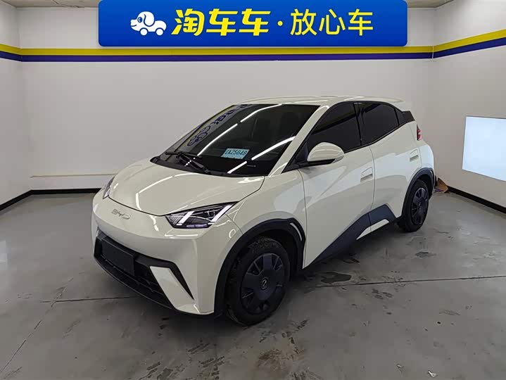 Фото 1 - BYD Seagull