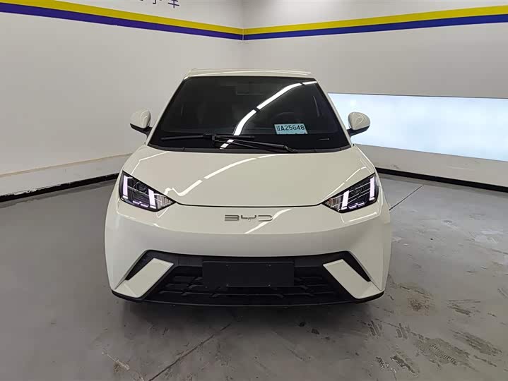 Фото 2 - BYD Seagull