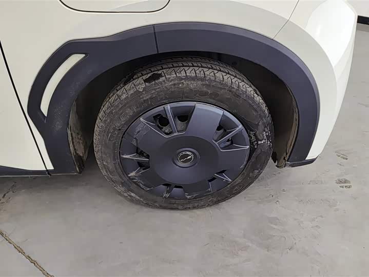 Фото 6 - BYD Seagull