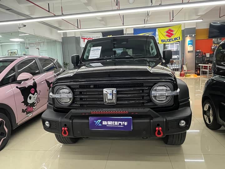 Фото 2 - Tank 300