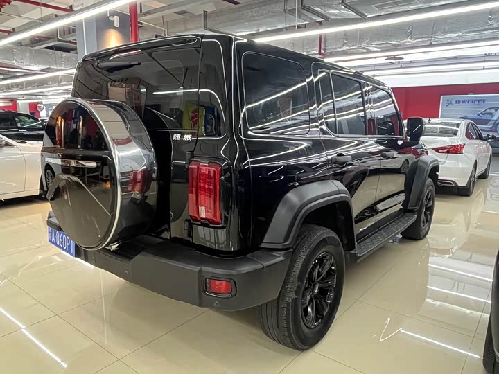 Фото 4 - Tank 300