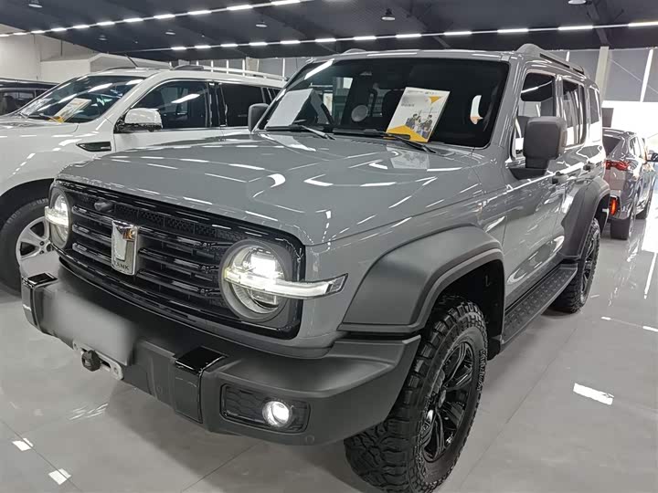 Фото 2 - Tank 300