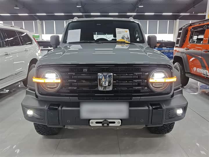 Фото 3 - Tank 300