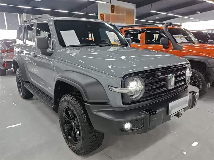 Фото 4 - Tank 300