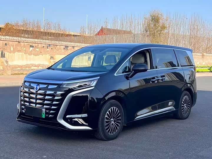 Фото 1 - Denza D9