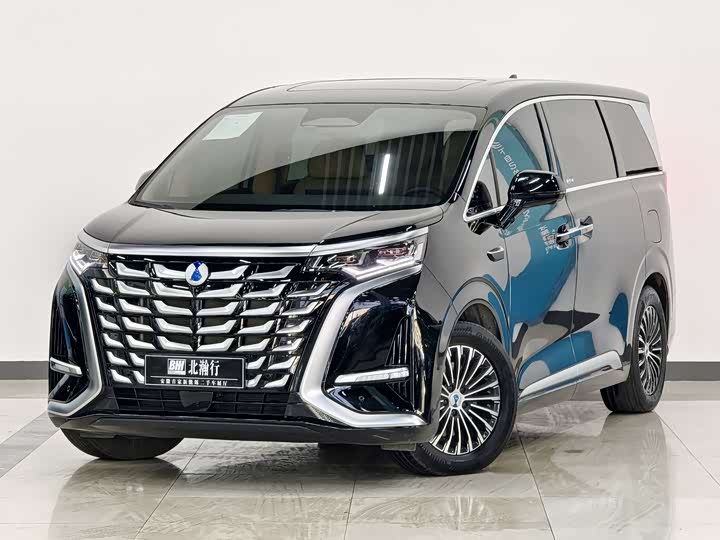 Фото 1 - Denza D9