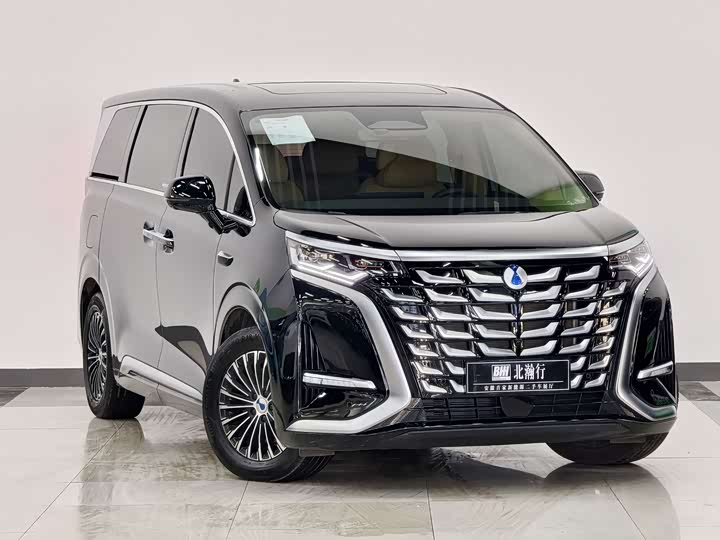 Фото 3 - Denza D9