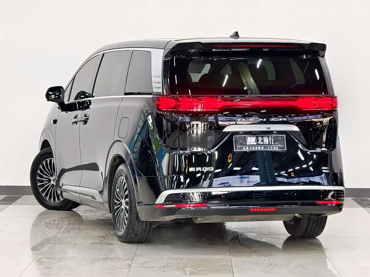 Фото 4 - Denza D9